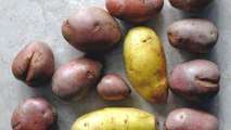5 Variedades de Patatas