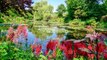 Monet's Gardens Reopen in Giverny As France Prepares to Welcome Tourists