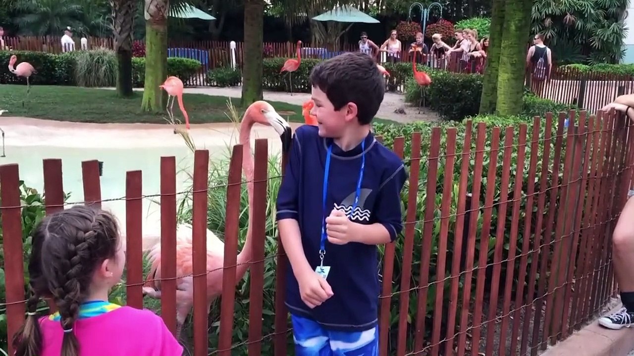 বাংলাফানিটিকটক ভিডিও//Bangla Funny Tiktok Videos 2021।