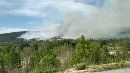 Son dakika! Kastamonu'da çıkan orman yangını kontrol altına alındı