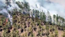 El incendio forestal de Arico ha quemado, por el momento, 240 hectáreas