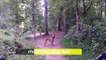 Watch as This Pup Ramps Up the Speed with His Mountain Biking Owner!
