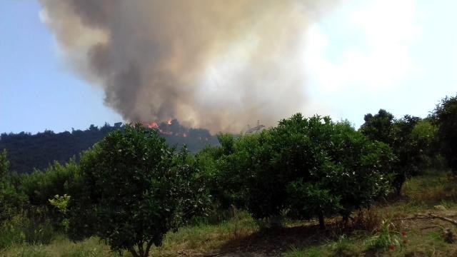 Kastamonu'da ormanlık alanda çıkan yangın kontrol altına alındı