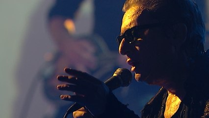 Alain Bashung - Ma petite entreprise