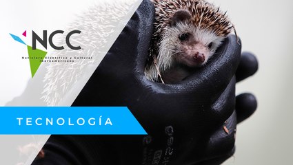 Colombia abre un centro para la recuperación y rehabilitación de animales silvestres