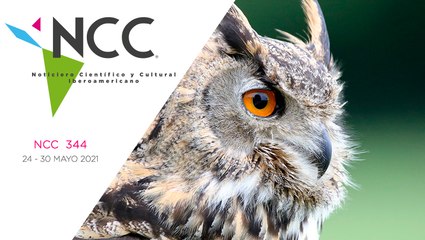 Noticiero Científico y Cultural Iberoamericano, emisión 344. 24 al 30 de mayo del 2021