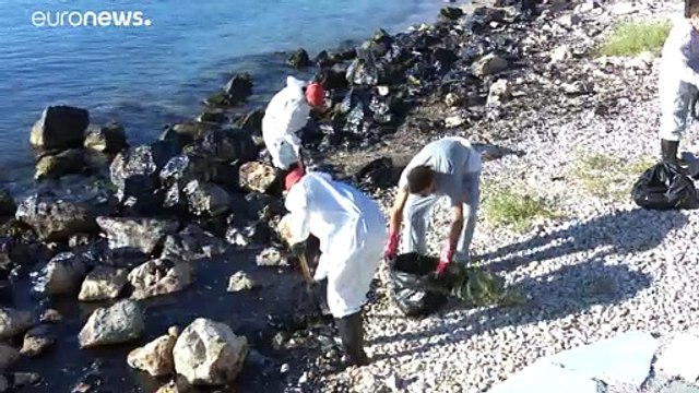 Европарламент предложил ввести ответственность за экоцид