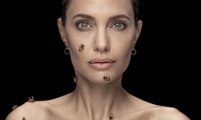 Angelina Jolie Covered Herself in Bees to Raise Awareness For Conservation Efforts