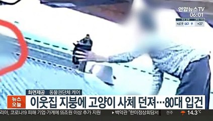 이웃집 지붕에 고양이 사체 던져…80대 입건