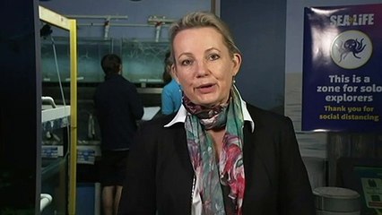 Government unveils plan to protect Australia's biodiversity