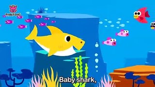 Baby Shark | Animal Songs | Pinkfong Songs For Children