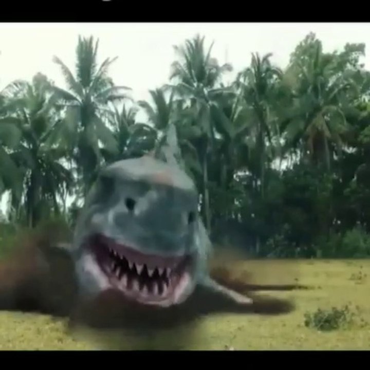 Hiu yang dapat hidup di darat - Monster Legenda yang menakutkan