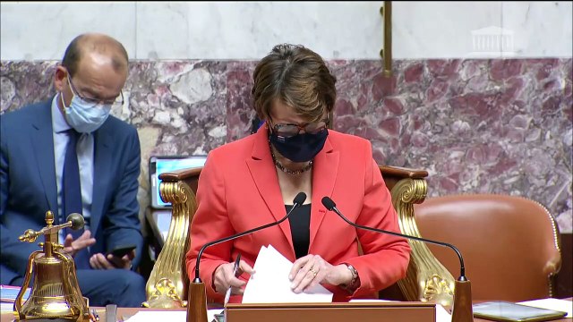 2ème séance : Confiance dans l’institution judiciaire (suite) (projets de loi ordinaire et organique) - Jeudi 20 mai 2021