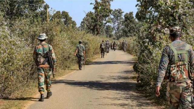 6 Maoists killed in police encounter in Gadchiroli