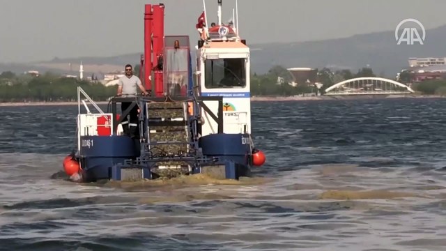İzmit Körfezi'nde 50 günde 150 ton deniz salyası toplandı