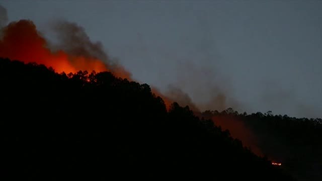 Un incendio arrasa 400 hectáreas de espacio protegido en Arico