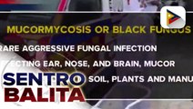 Surge sa black fungus infection sa COVID-19 survivors sa India, ikinababahala;   U.S. Pres. Biden, nilagdaan na ang batas vs. Anti-Asian hate crimes;   ilang lugar sa Rio Grande Valley, binaha