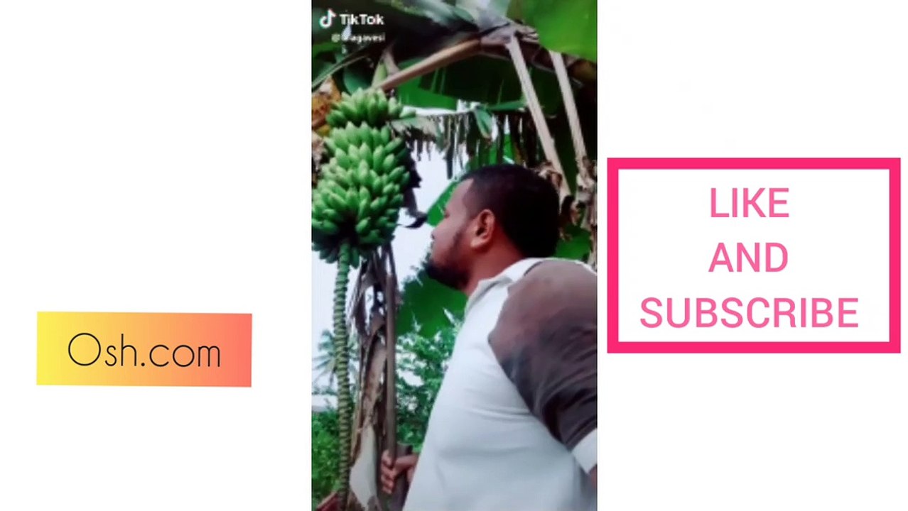 Try Not To Laugh - Hood Vine (Part 7) Funny Video Compilation 2021 | Funny Laugh