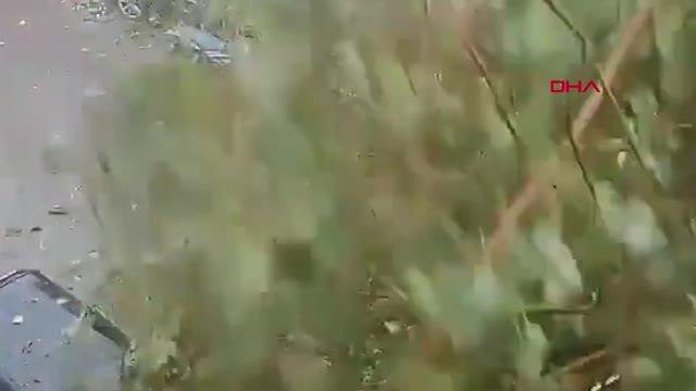 Hindistan'da kadın fırtınada devrilen ağacın altında kalmaktan böyle kurtuldu