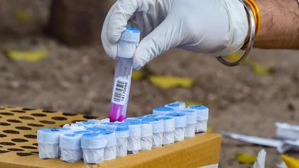 ICMR gives nod to home testing kit for Covid-19