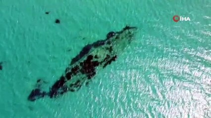 Tarihi Çanakkale savaşının batık İngiliz gemileri böyle görüntülendi