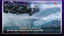 Gunung Es Seluas Pulau Madura di Antartika Ini Pecah!