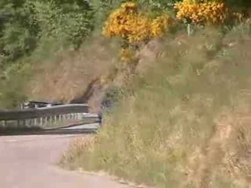 Rallye Plaine et cîmes 2007 groupe A