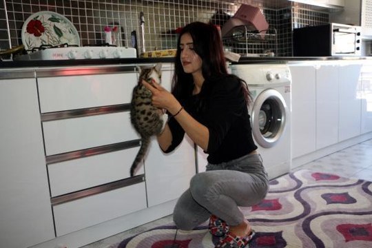 Son dakika haber | MUTFAKTA KEDİ KURTARMA OPERASYONU