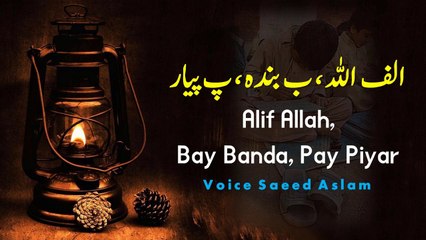 Poetry Alif Allah Bay Banda Pay Piyar By Saeed Aslam | Punjabi Poetry WhatsApp status, Poetry status