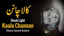 Poetry Kaala Channan By Saeed Aslam | Punjabi Poetry WhatsApp status | Poetry status | Poetry TikTok