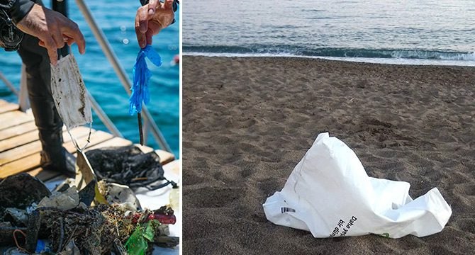 ‘Caretta carettalar, poşetleri denizanası diye yiyor’
