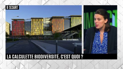 SMART IMPACT - Emission du mardi 25 mai