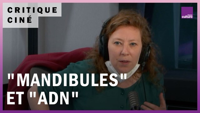 Cinéma : Mandibules de Quentin Dupieux et ADN de Maïwenn