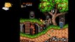 (SNES) Super Ghouls 'n Ghosts - 01 - How hard will this be?... yes this is hard :( pt1