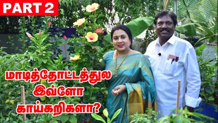 PART - 2 - அனிதா குப்புசாமி மாடித்தோட்டம் _ Anitha Kuppusamy Terrace Garden (1)