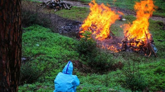 Uttarakhand: Mass cremations in hills of Almora