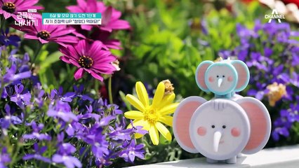 [오은영 금쪽처방] '자기 조절력' 키우기 훈련법 "참았다가 먹어요!"