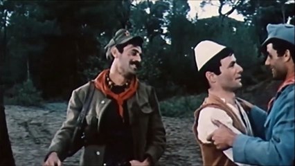 Pylli i lirise - pjesa 2HD