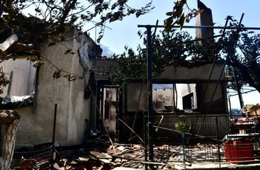 Son dakika haber | Yunanistan'daki orman yangını 40 bin dönümden fazla alanı küle çevirdi