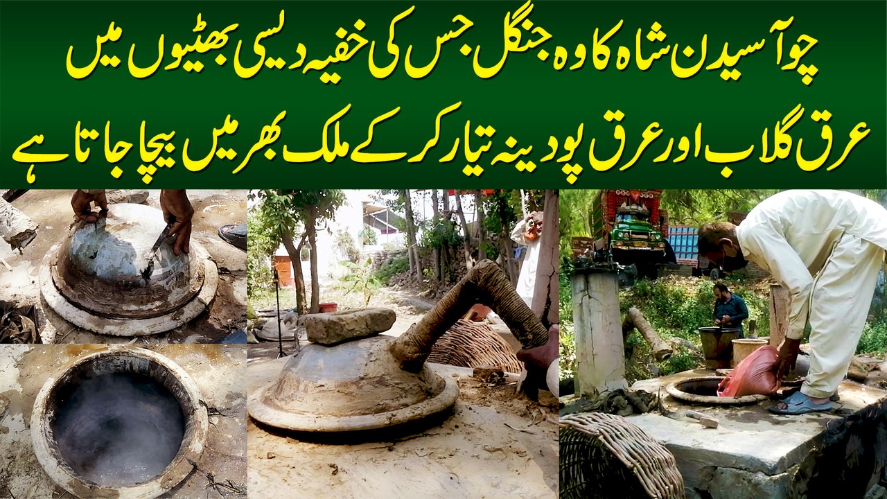 Choa Saidan Shah Ka Wo Jungle Jiski Khufia Desi Bhation Me Arq e Gulab Aur Arq e Pudina Banta Hai