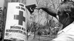 What disasters shaped the Red Cross?