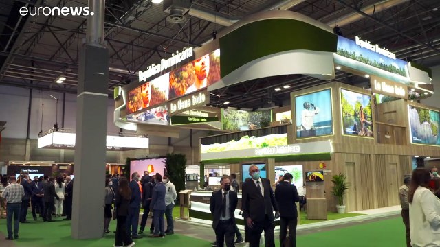 España abrirá sus fronteras a los vacunados de COVID de todo el mundo el 7 de junio