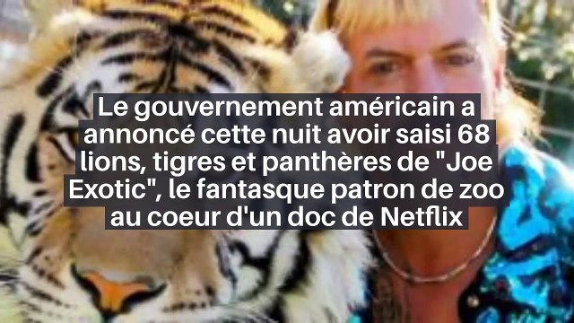 Le gouvernement américain a annoncé cette nuit avoir saisi 68 lions, tigres et panthères de Joe Exotic , le fantasque patron de zoo au coeur d'un doc de Netflix_IN