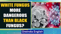 White Fungus: Who are at risk, what are the symptoms and how can it be prevented? | Oneindia News