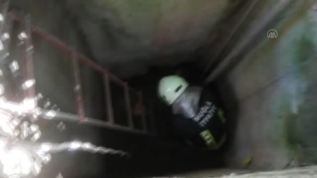 Son dakika haberleri | 10 metrelik boş su kuyusuna düşen köpek itfaiye ekiplerince çıkarıldı