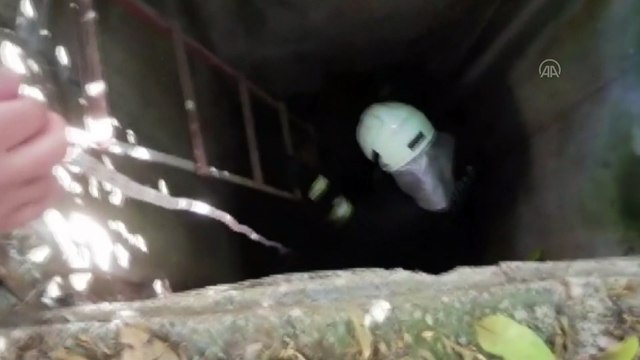 MUĞLA - 10 metrelik boş su kuyusuna düşen köpek itfaiye ekiplerince çıkarıldı