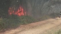 Son dakika haber | Çatıda çıkan yangına müdahale eden itfaiye eri dumandan etkilendi