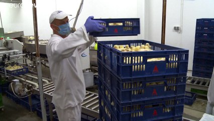 Alemanha vai proibir abate de pintos machos