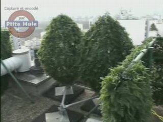 Les antennes-relais masquées