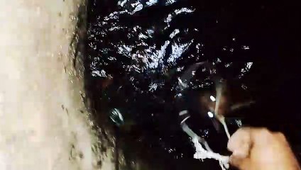 Good Samaritans Save Dog From Sewer Drain